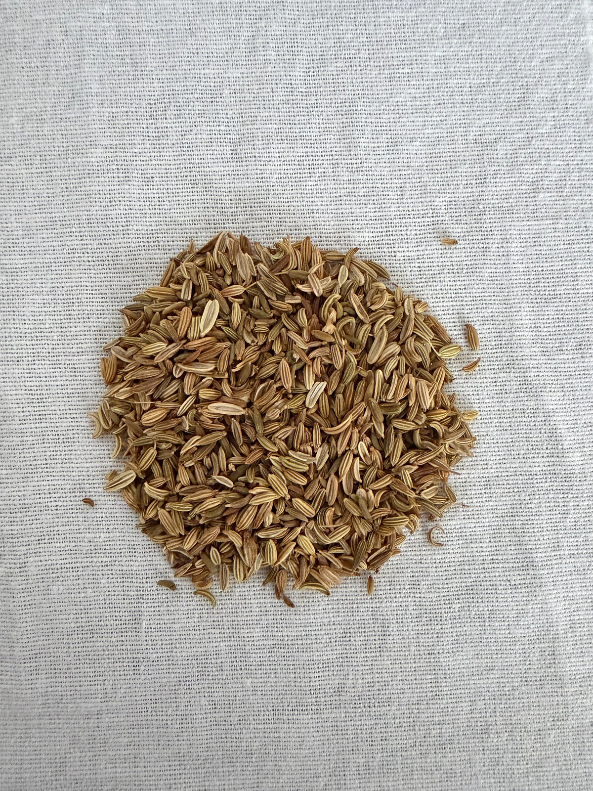 Fenouil - Graines séchées - 100 g